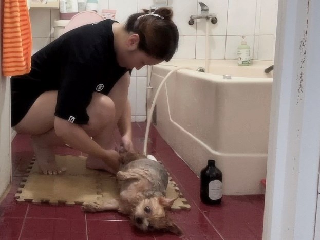 女人知己試用大隊,口碑行銷,部落客行銷,Downy Belly毛肚子,Downy Belly 保濕滋養胺基酸洗毛精,紅球薑淨膚配方,Downy Belly 保濕滋養胺基酸洗毛精-紅球薑淨膚配方,洗品天生防禦力，皮膚天生就很強,除了洗乾淨，其他的真的先不用,胺基酸清潔因子,好的界面活性劑，才能好洗,好沖淨,不易殘留,適量的細緻泡泡,狗貓皆適用,加拿大毒物學家安全把關,100%環保回收料再製瓶器,零廢棄為目標,低敏洗毛精,寵物訓練師好評,Downy Belly毛肚子,Downy Belly 皮膚救急胺基酸洗毛精,IPMP舒緩配方,Downy Belly 皮膚救急胺基酸洗毛精-IPMP舒緩配方,洗品天生防禦力,皮膚天生就很強,除了洗乾淨,其他的真的先不用,胺基酸清潔因子,APG+胺基酸清潔因子,IPMP高安全的成分,好的界面活性劑,才能好洗、好沖淨、不易殘留,適量的細緻泡泡,狗貓皆適用,加拿大毒物學家安全把關,100%環保回收料再製瓶器,零廢棄為目標,低敏洗毛精,寵物訓練師好評